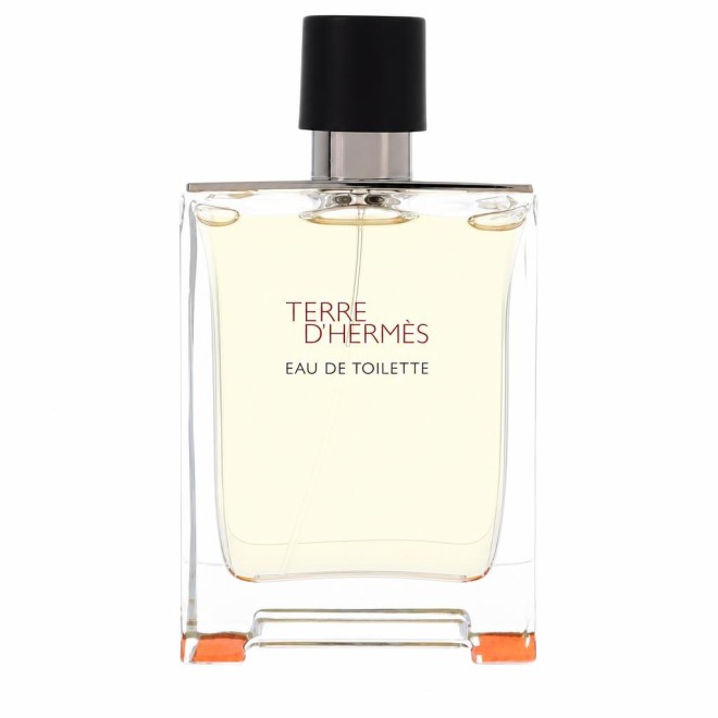 Hermes Terre D' Eau De Toilette Spray (Tester) 100 ml