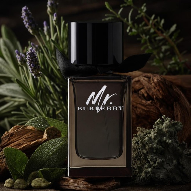 Burberry Mr Eau De Parfum Spray 100 ml
