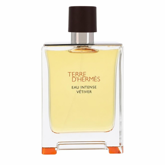 Hermes Terre D'hermes Eau Intense Vetiver Eau De Parfum Spray (Tester) 100 ml