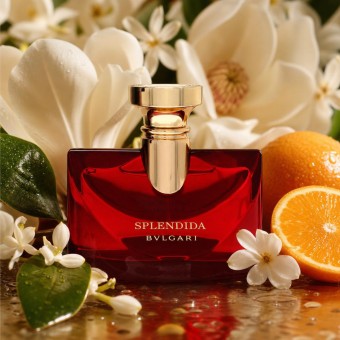 Bvlgari Splendida Magnolia Sensuel Eau De Parfum Spray 50 ml