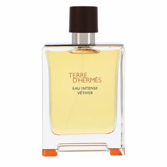 Hermes Terre D'hermes Eau Intense Vetiver Eau De Parfum Spray (Tester) 100 ml