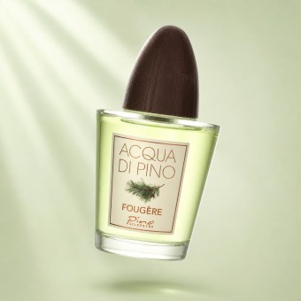 Pino Silvestre Acqua Di Pino Fougere Eau De Toilette Spray 125 ml