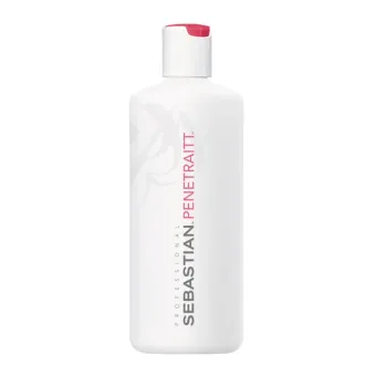 Sebastian Foundation Penetraitt Masque 500ml