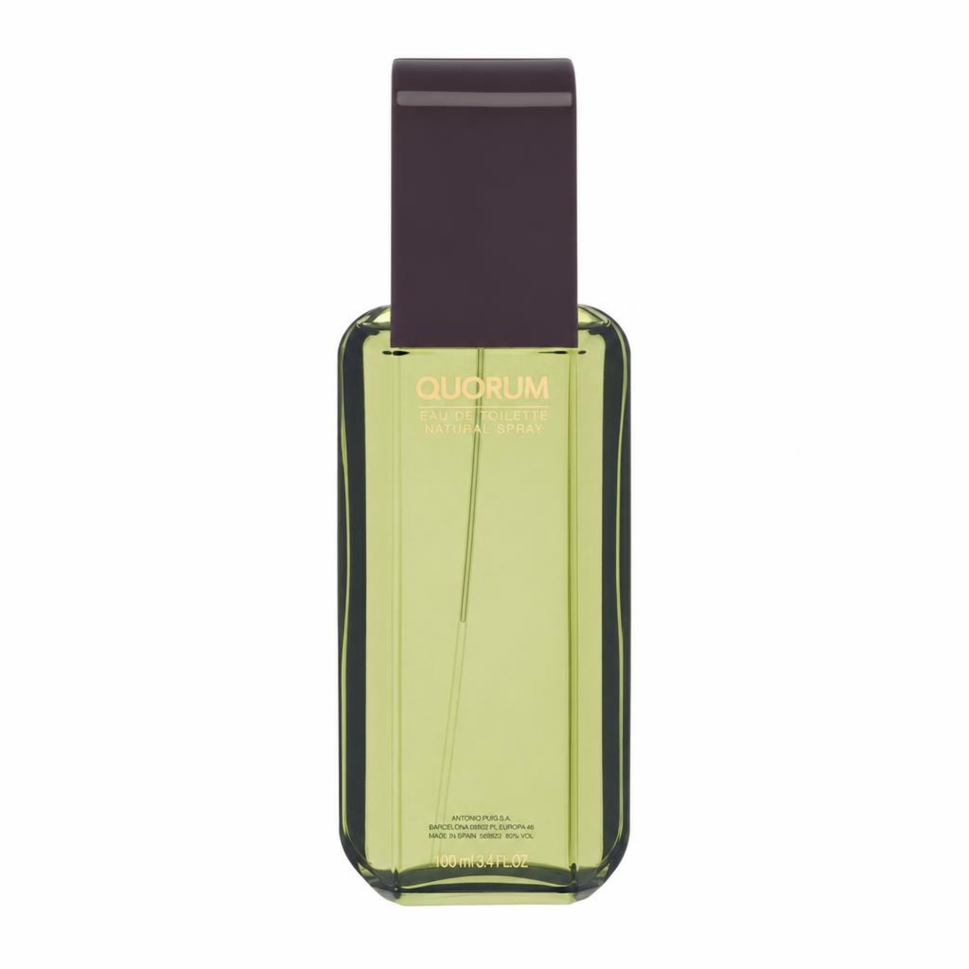 Antonio Puig QUORUM Eau De Toilette Spray 100 ml
