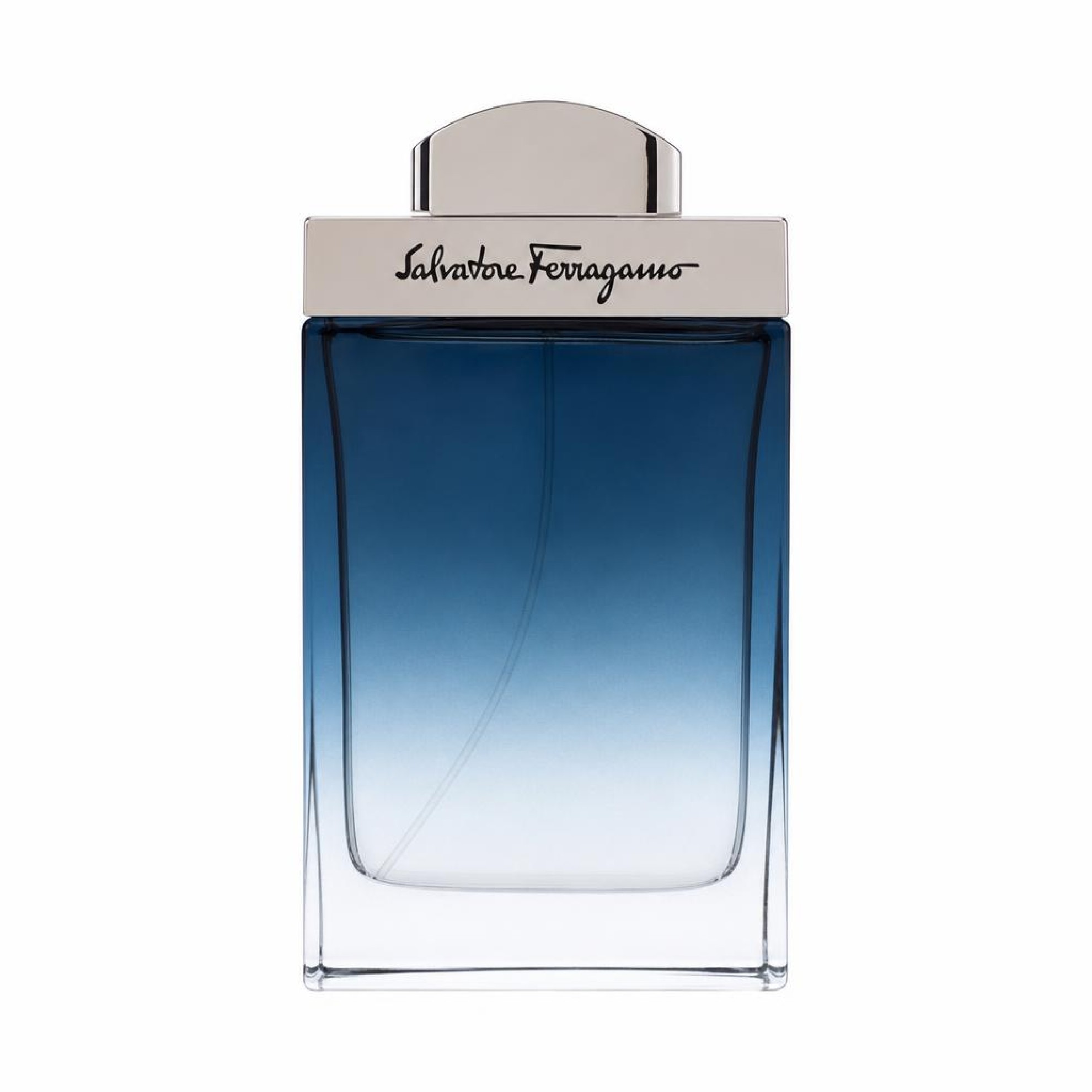 Salvatore Ferragamo Subtil Eau De Toilette Spray 100 ml