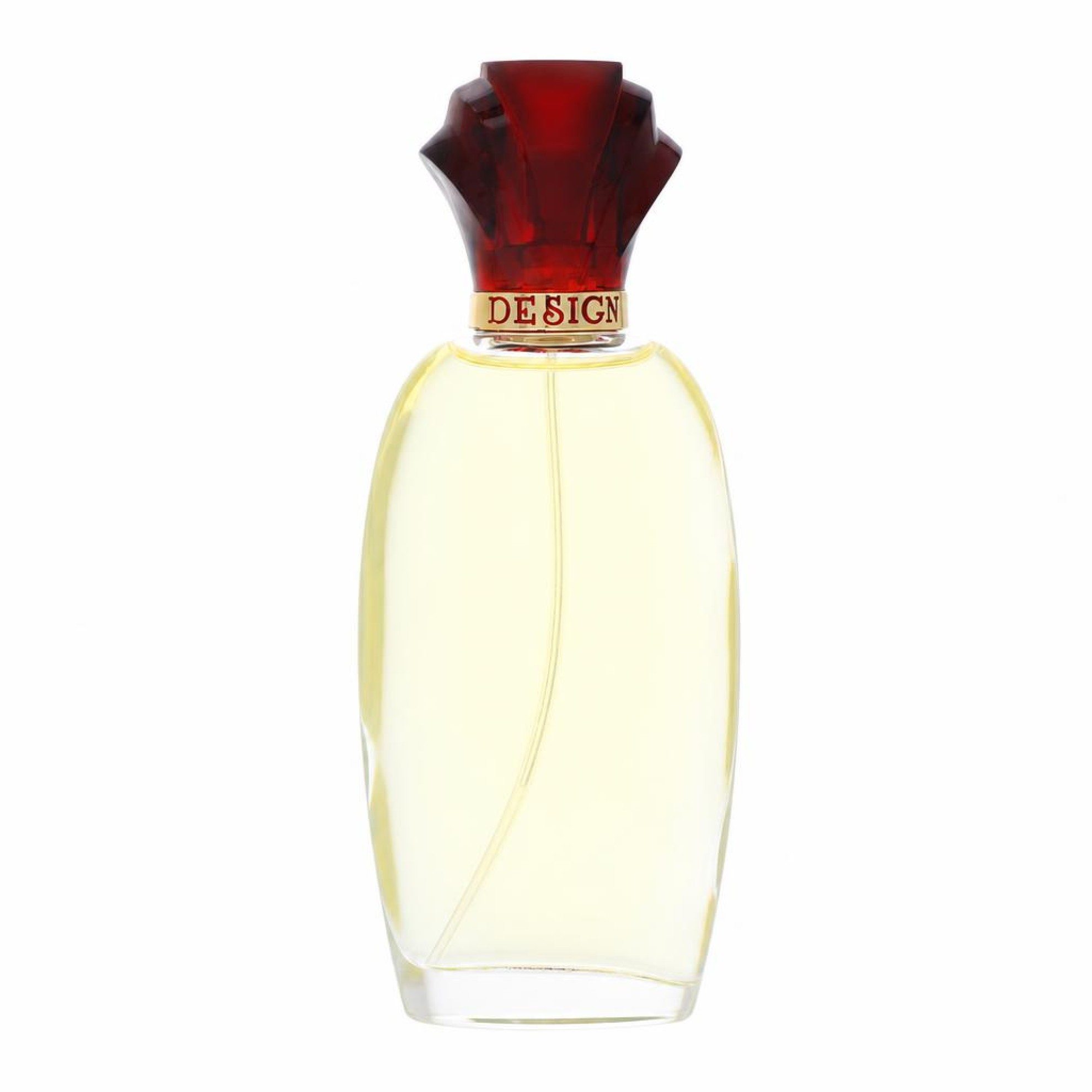Paul Sebastian DESIGN Fine Parfum Spray 100 ml