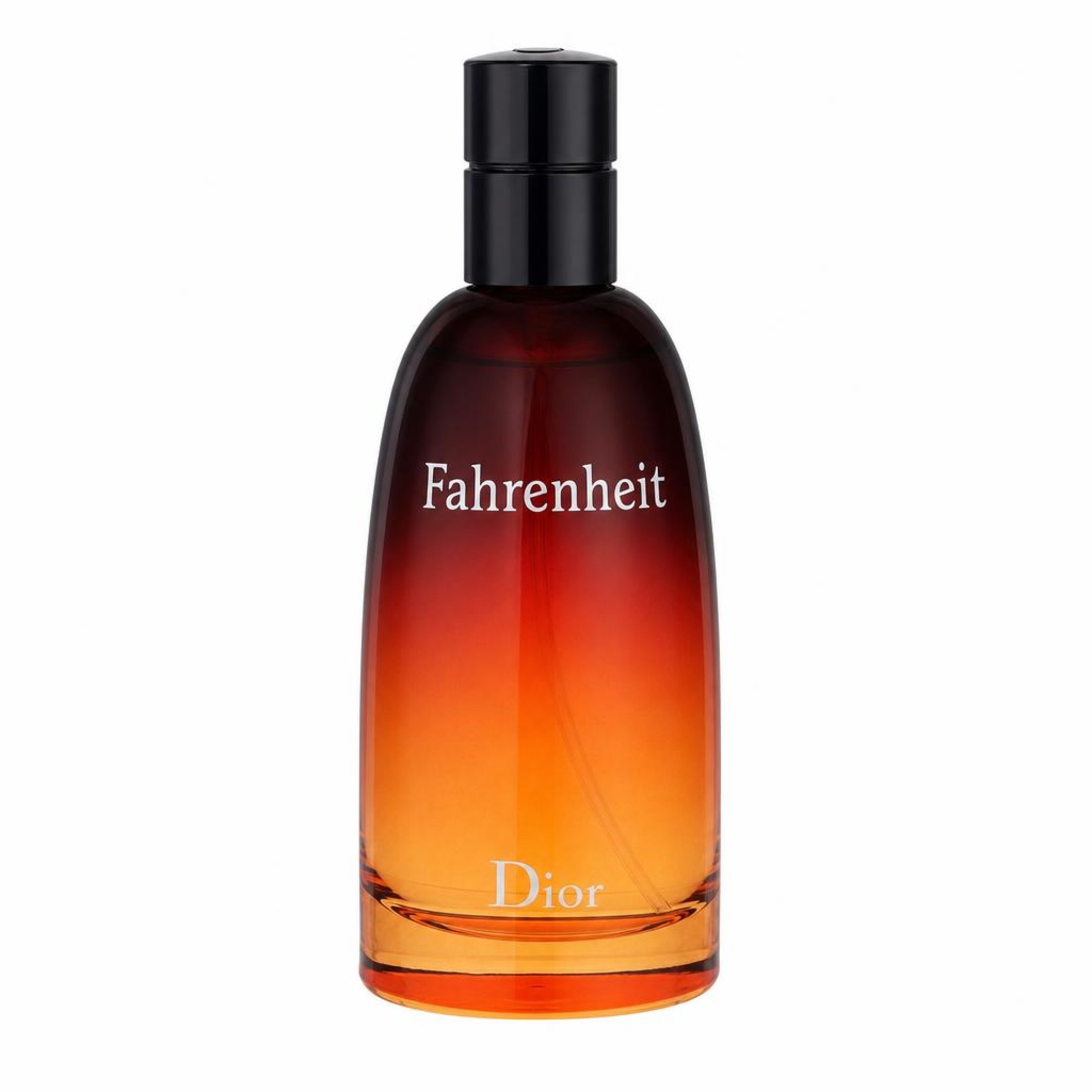 Christian Dior FAHRENHEIT Eau De Toilette Spray 50 ml