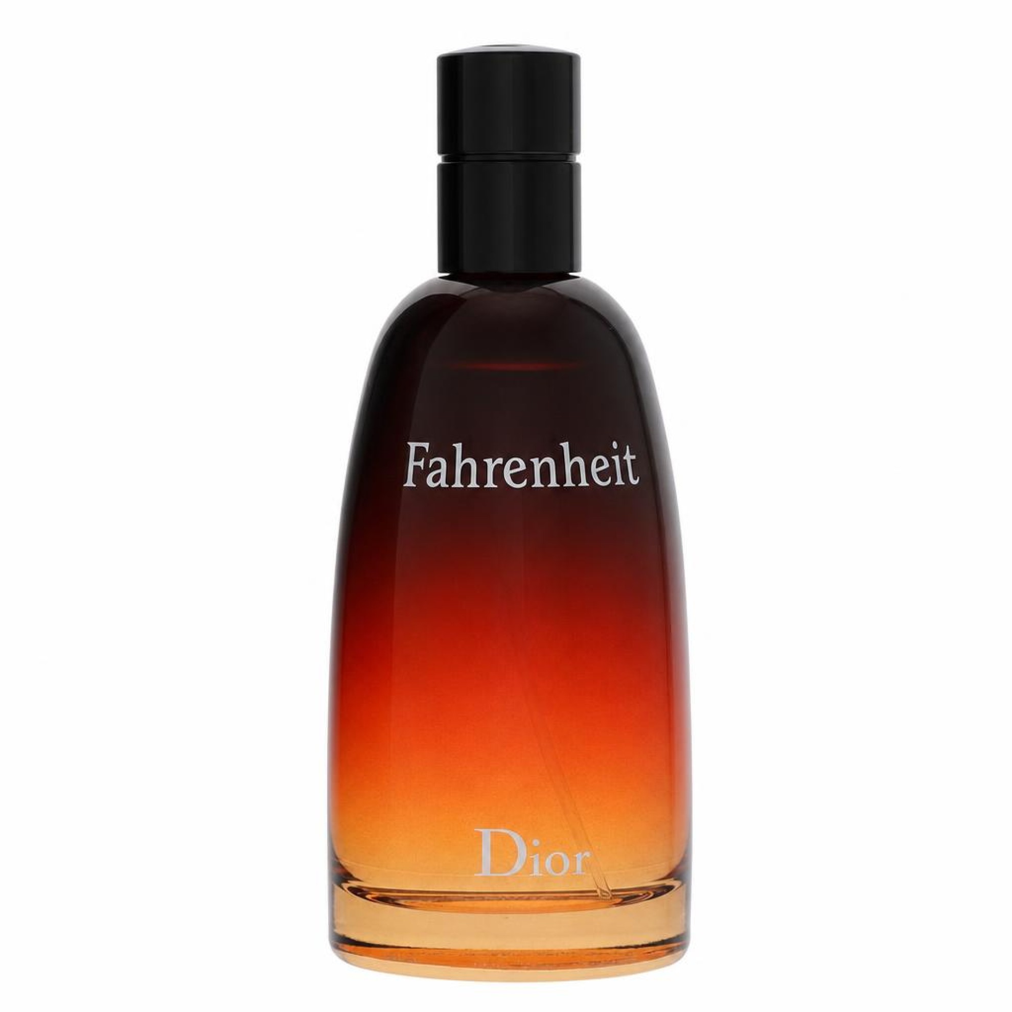 Christian Dior FAHRENHEIT Eau De Toilette Spray 100 ml