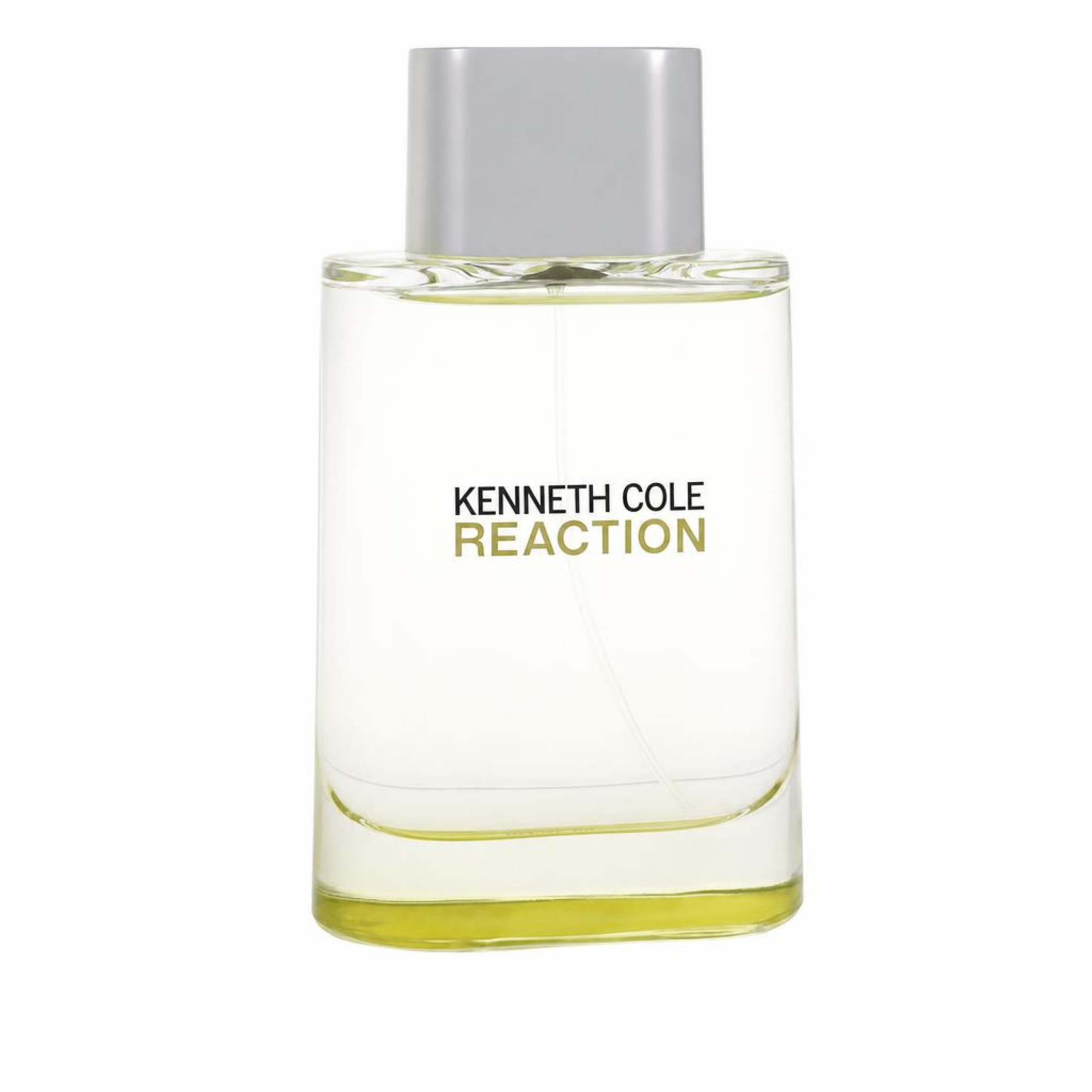 Kenneth Cole Reaction Eau De Toilette Spray 100 ml