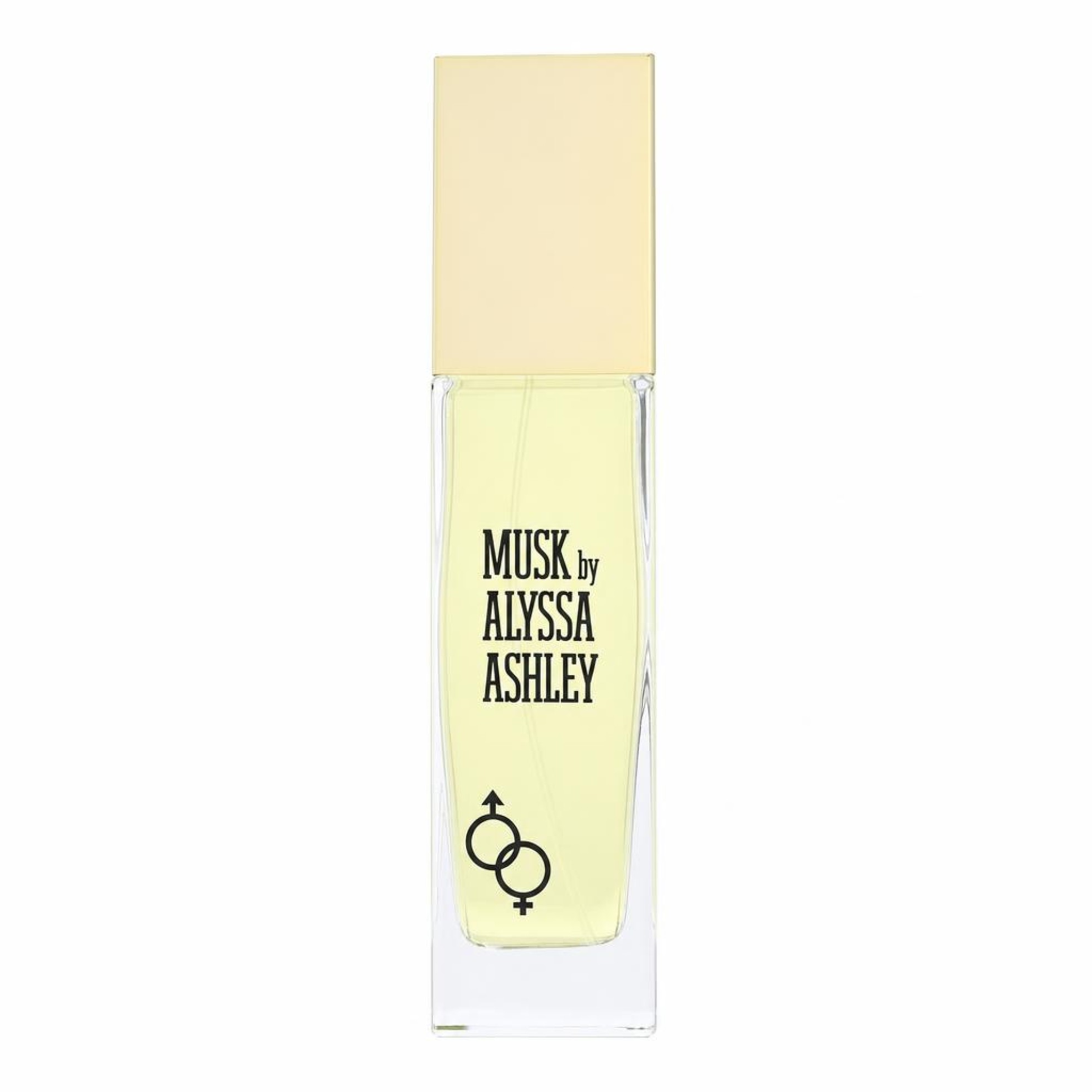Houbigant Alyssa Ashley Musk Eau De Toilette Spray 100 ml