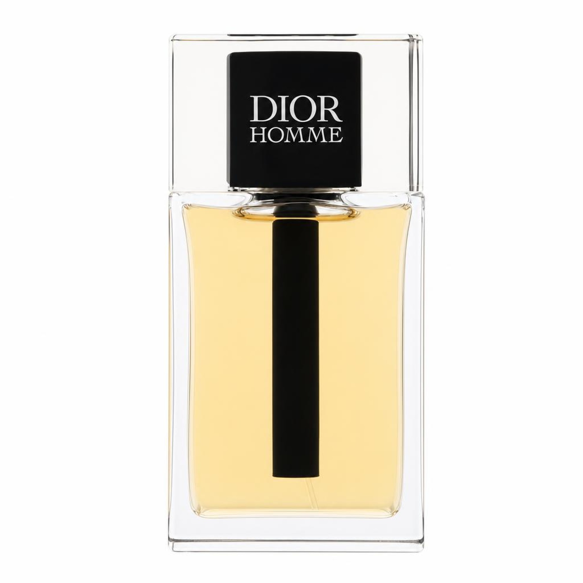DIOR Homme Eau de Toilette 100ml Homme
