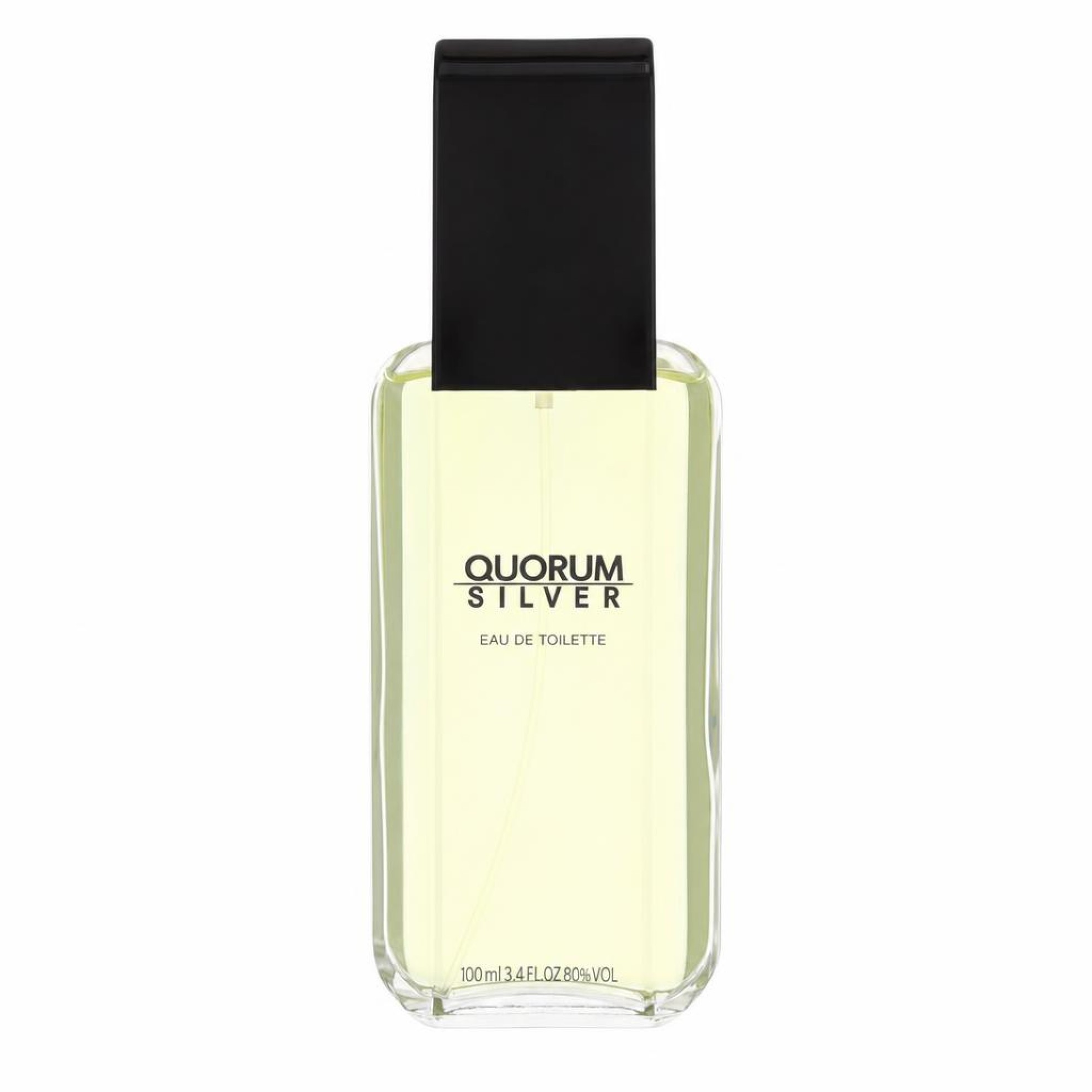 Puig Quorum Silver Eau De Toilette Spray 100 ml