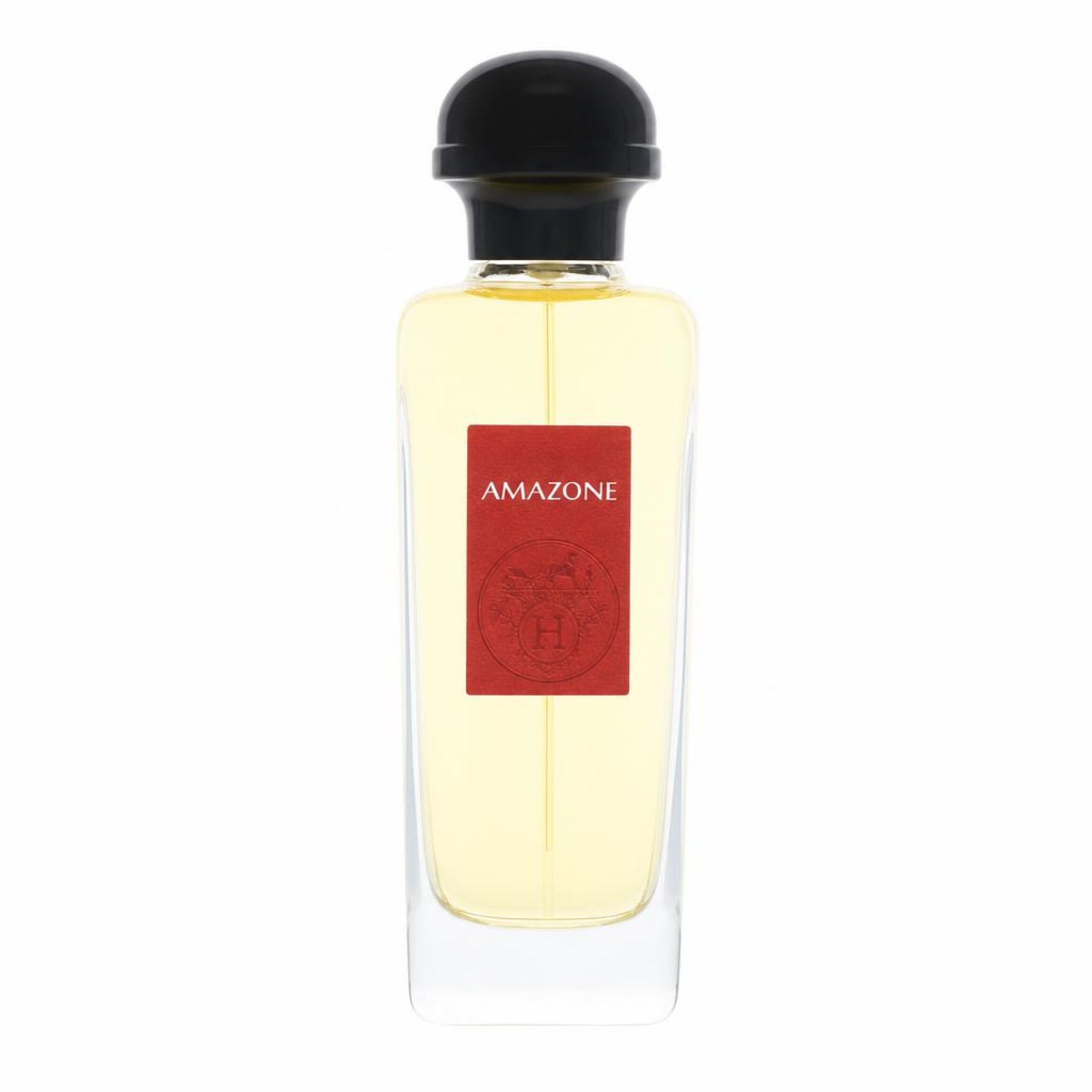 Hermes AMAZONE Eau De Toilette Spray 100 ml