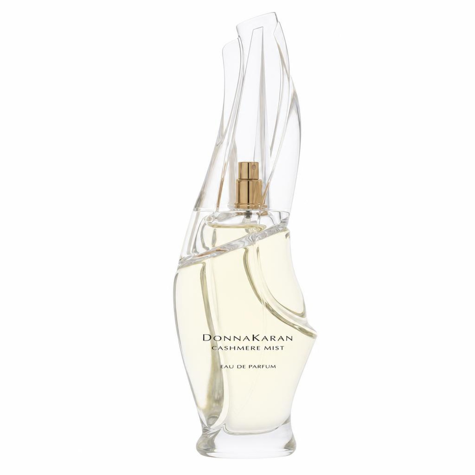 Donna Karan CASHMERE MIST Eau De Parfum Spray 100 ml