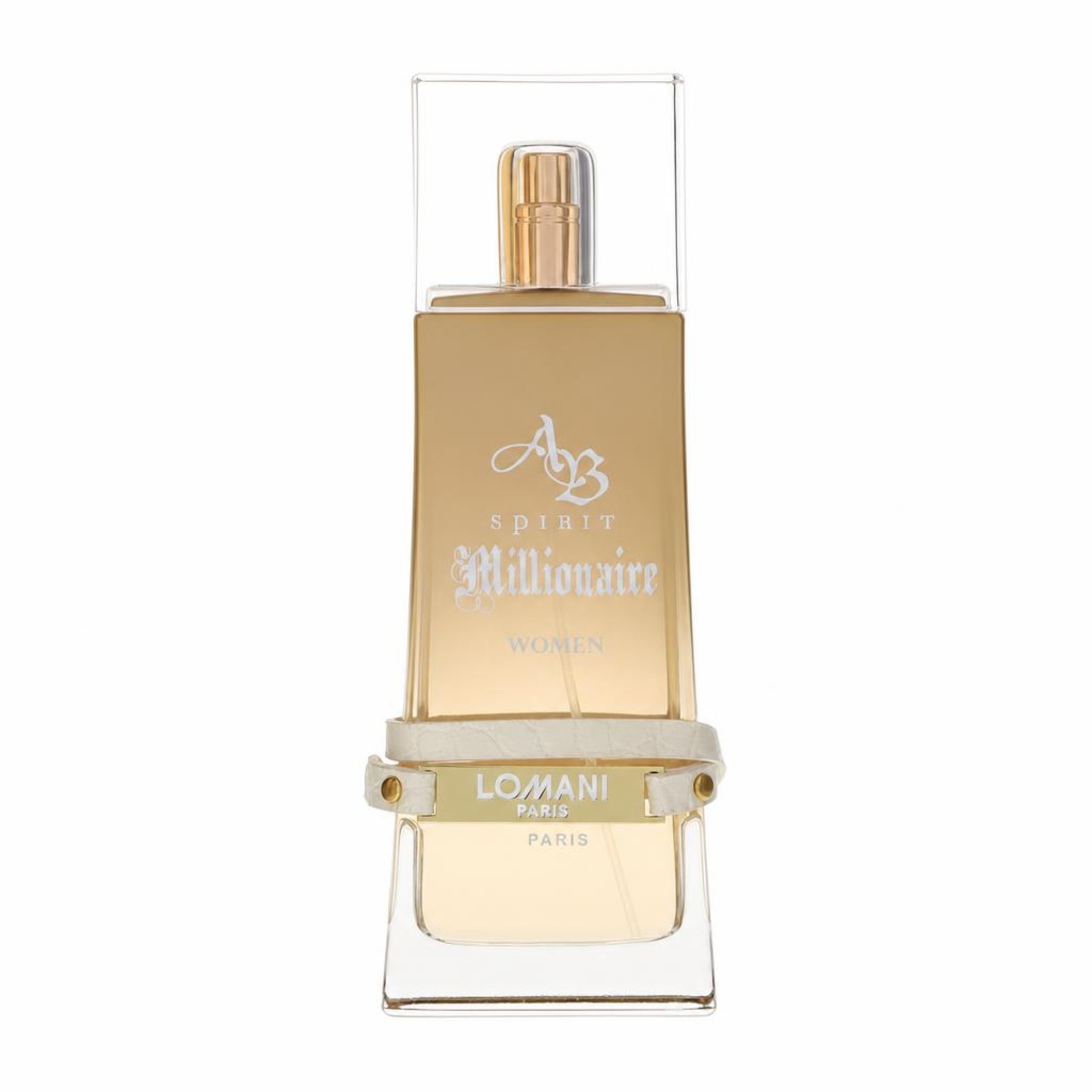 Lomani Spirit Millionaire Eau De Parfum Spray 100 ml