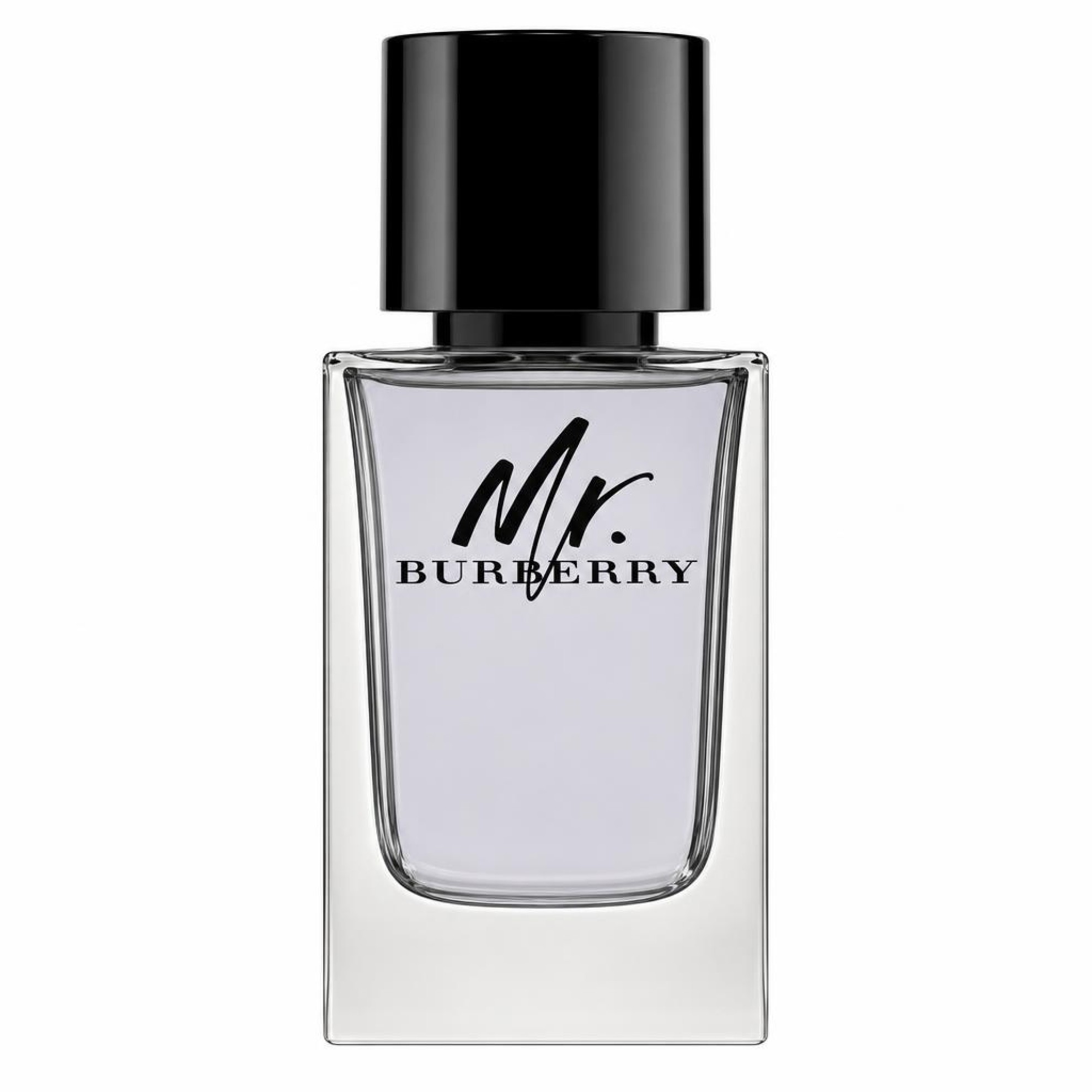 Burberry Mr. Burberry Eau de Toilette 100ml