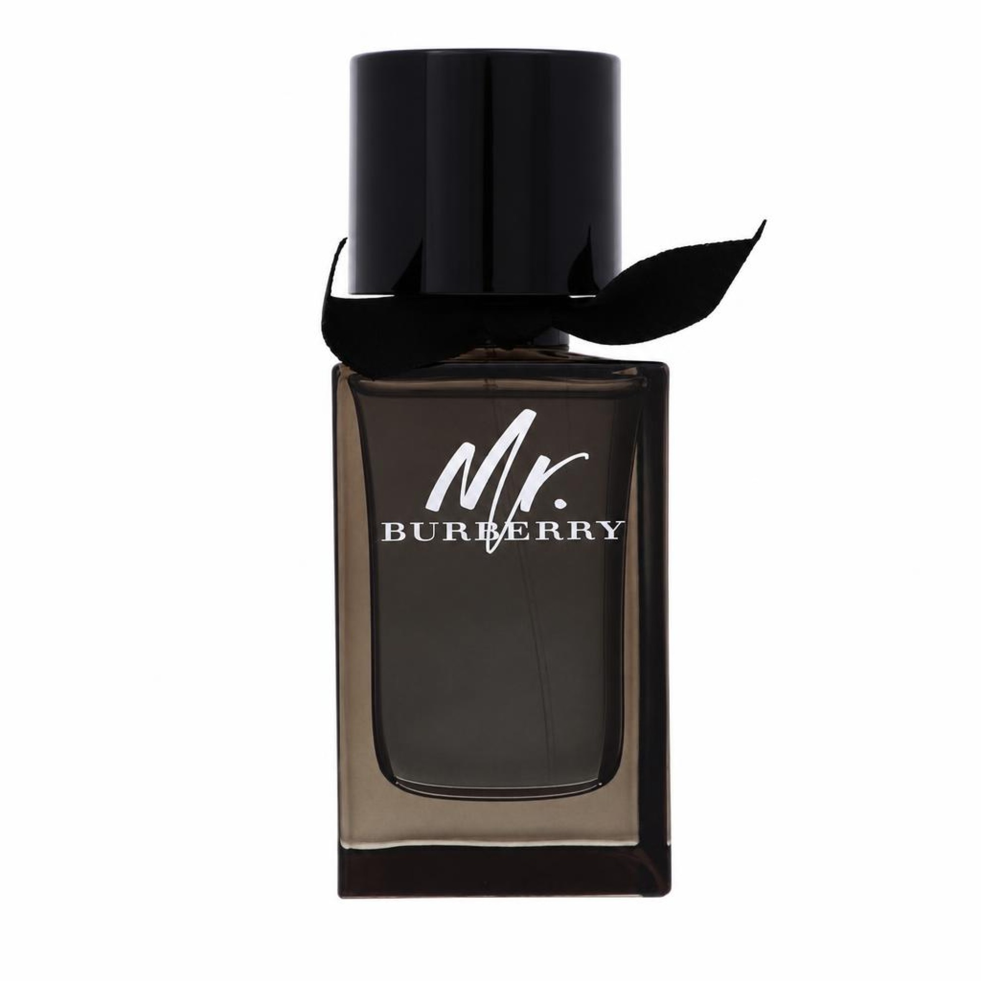 BURBERRY Mr. Burberry Eau de Parfum 100 ml Herren