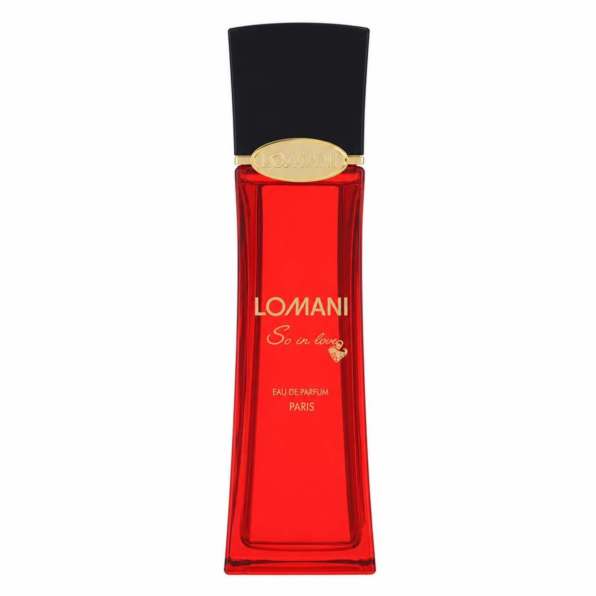 Lomani So In Love Eau De Parfum Spray 100 ml