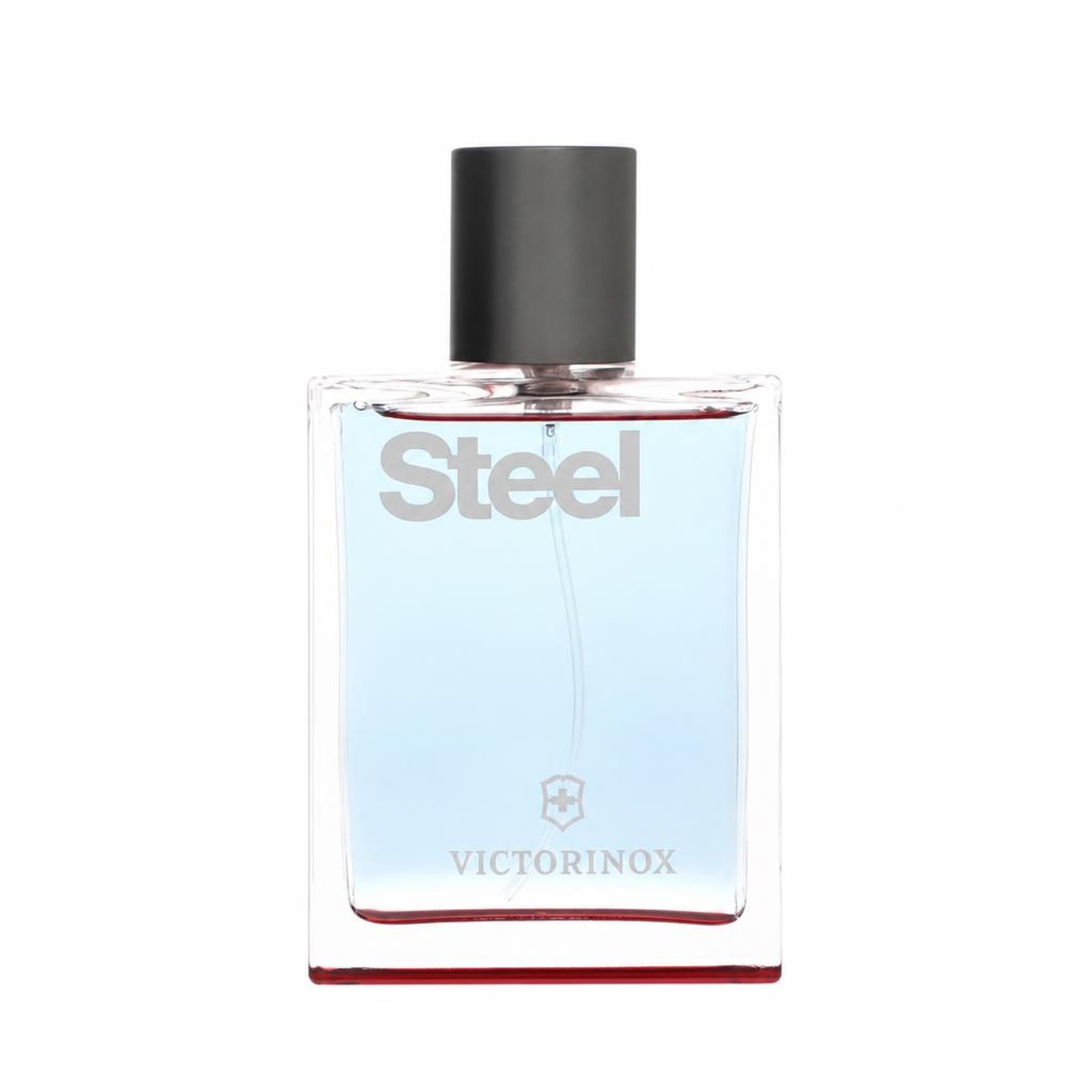 Swiss Army Steel Eau De Toilette Spray   100 ml