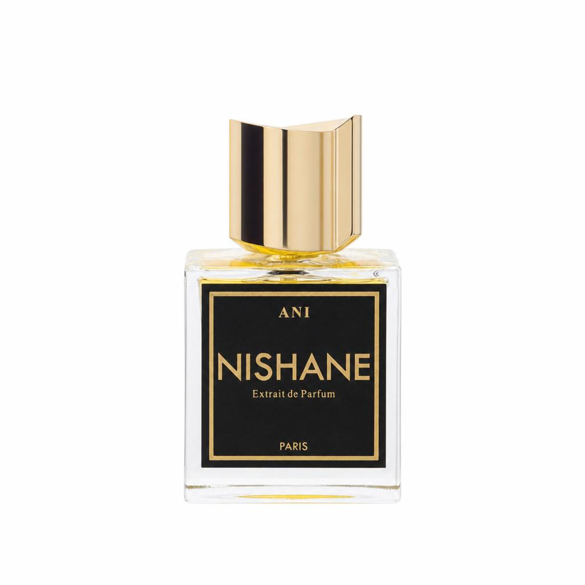 Nishane Ani Extrait de Parfum 100 ml