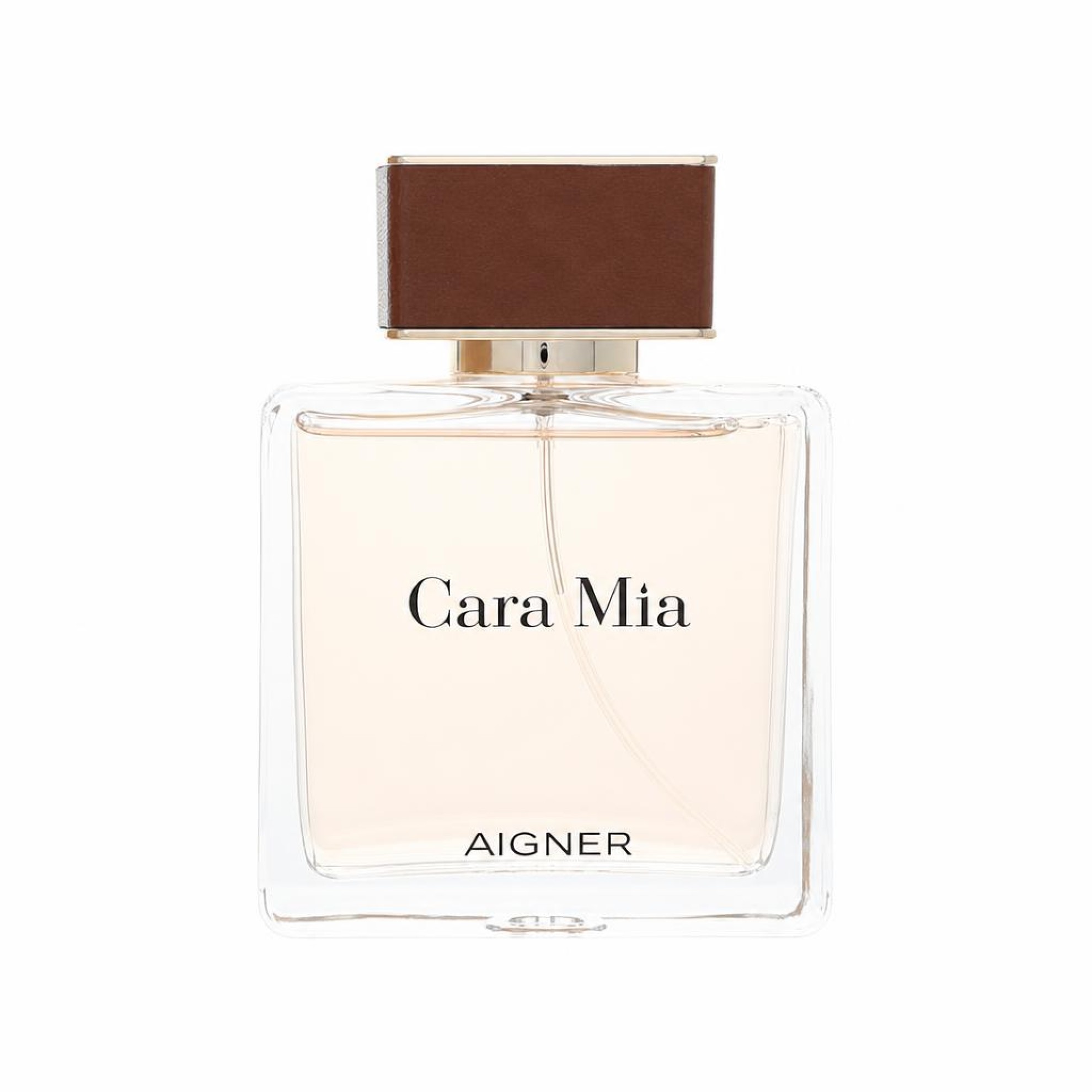 Etienne Aigner Cara Mia Eau De Parfum Spray 100 ml