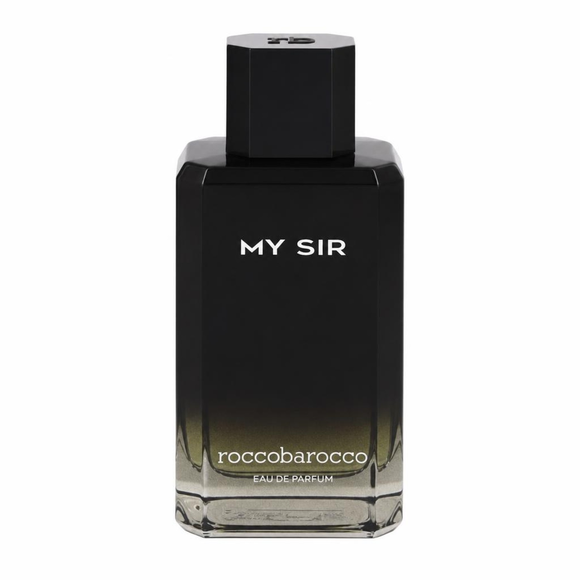 Roccobarocco My Sir Eau De Parfum Spray 100 ml