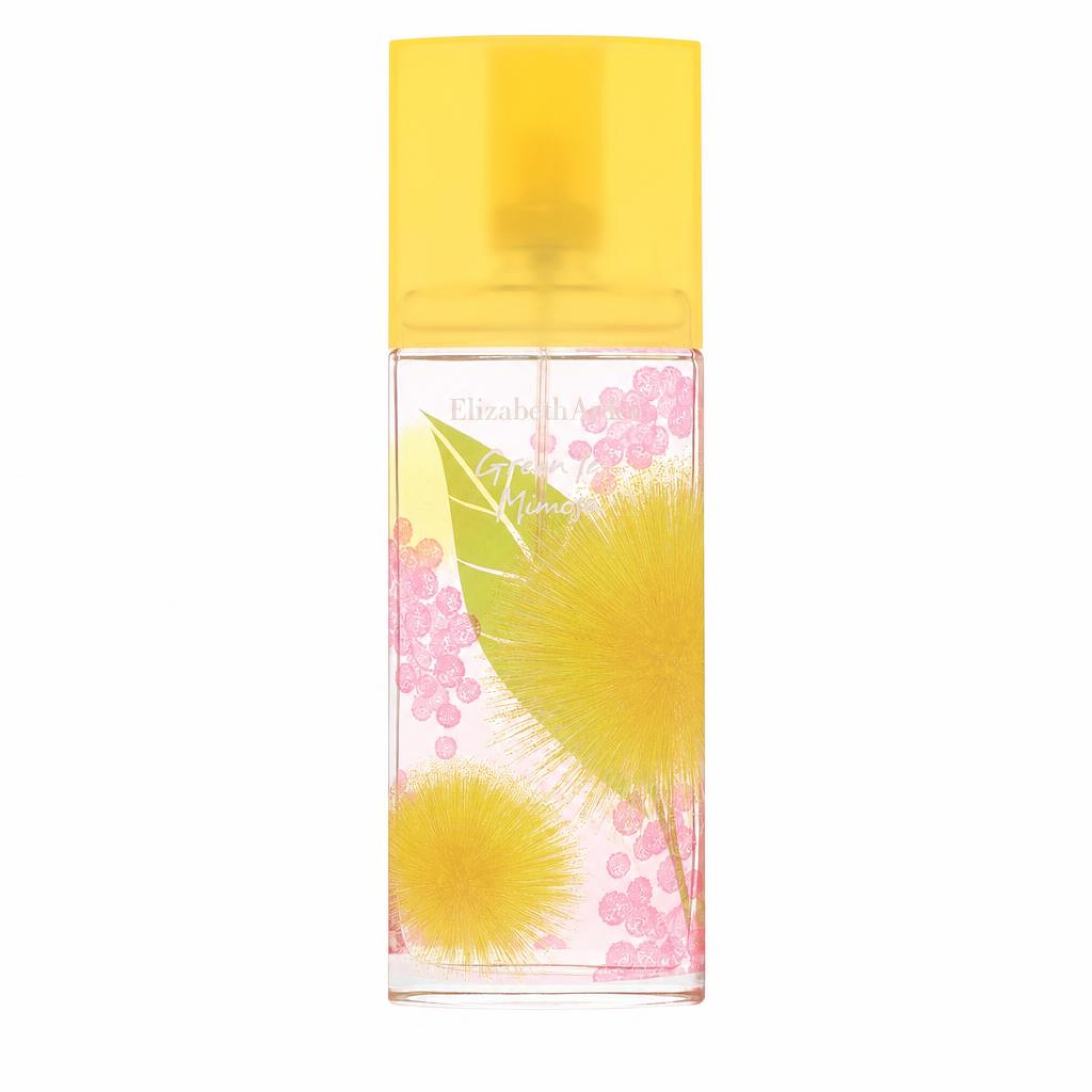 Elizabeth Arden Green Tea Mimosa Eau De Toilette Spray 100 ml