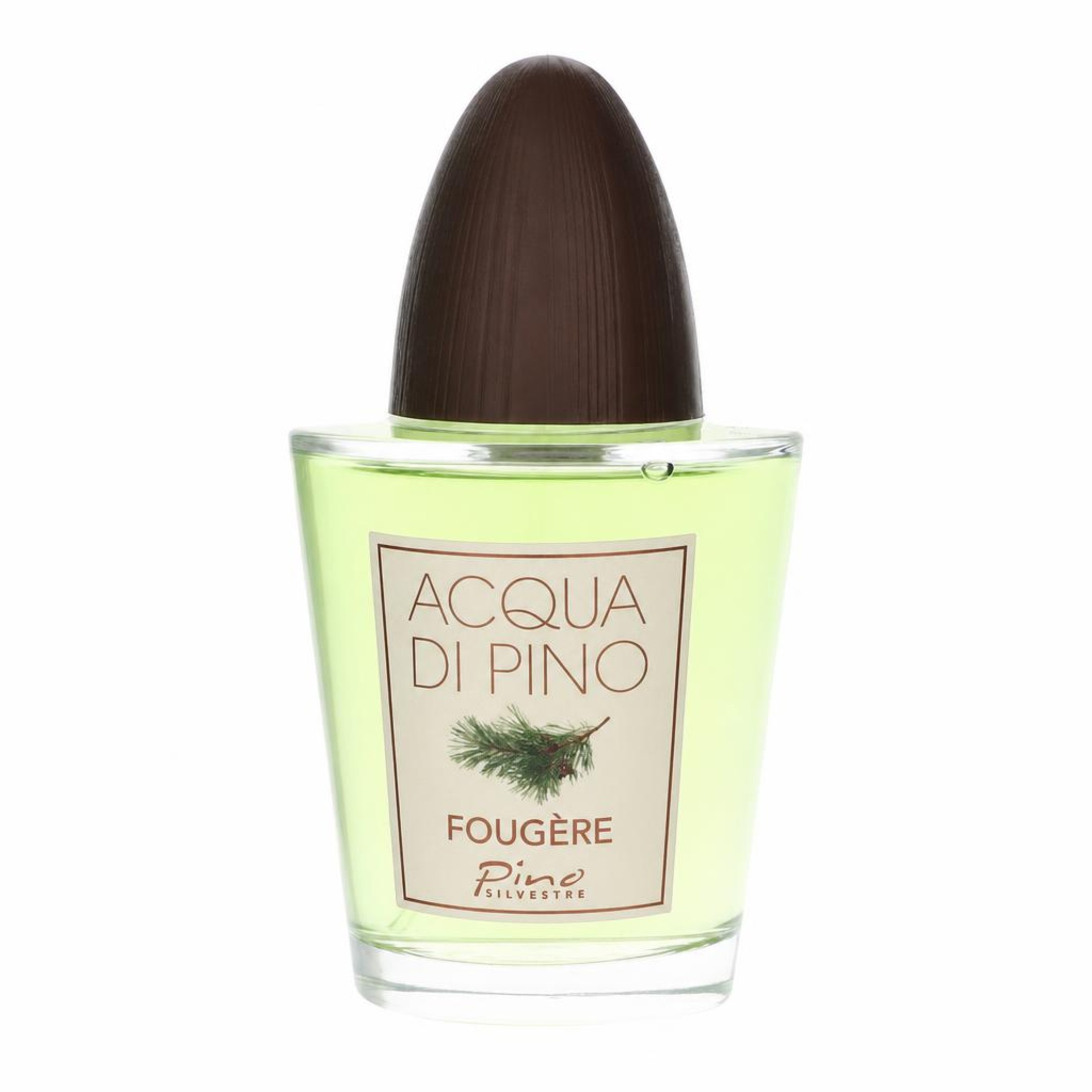 Image of Pino Silvestre Acqua Di Pino Fougere Eau De Toilette Spray 125 ml