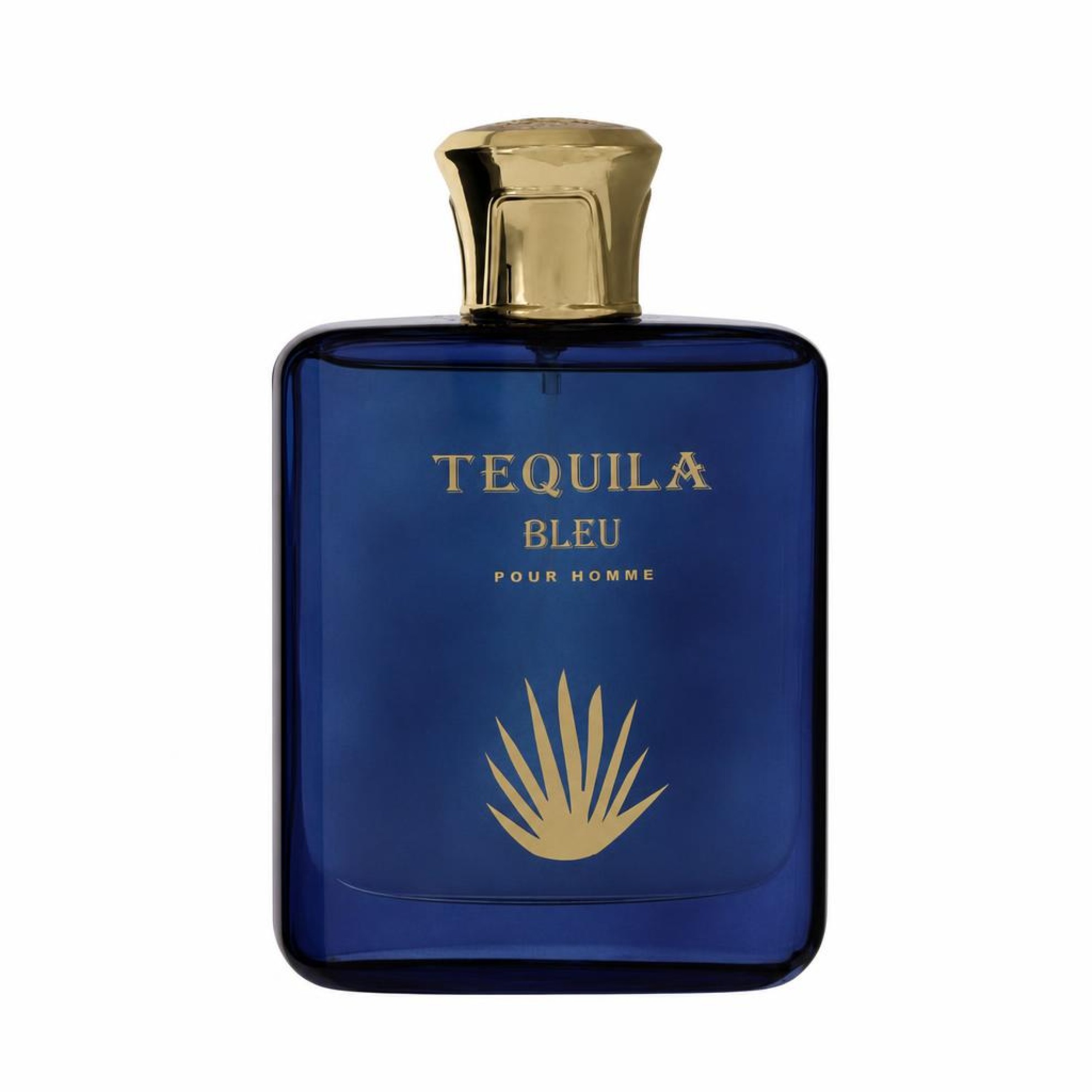 Tequila Perfumes Tequila Pour Homme Bleu Eau De Parfum Spray 100 ml