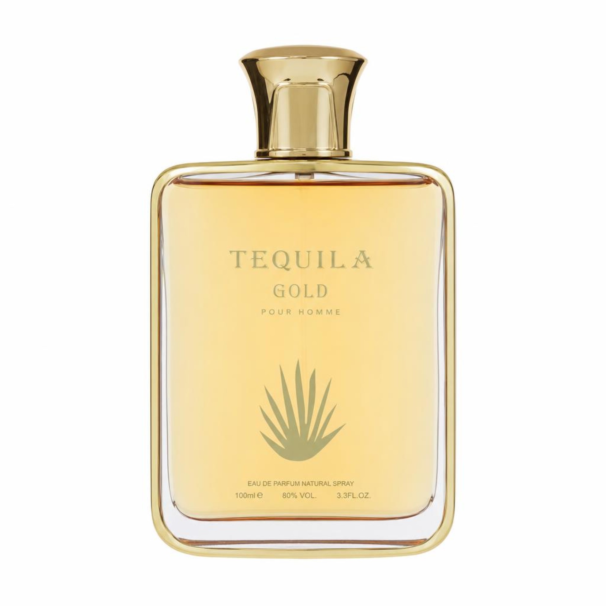 Tequila Perfumes Tequila Pour Homme Gold Eau De Parfum Spray 100 ml