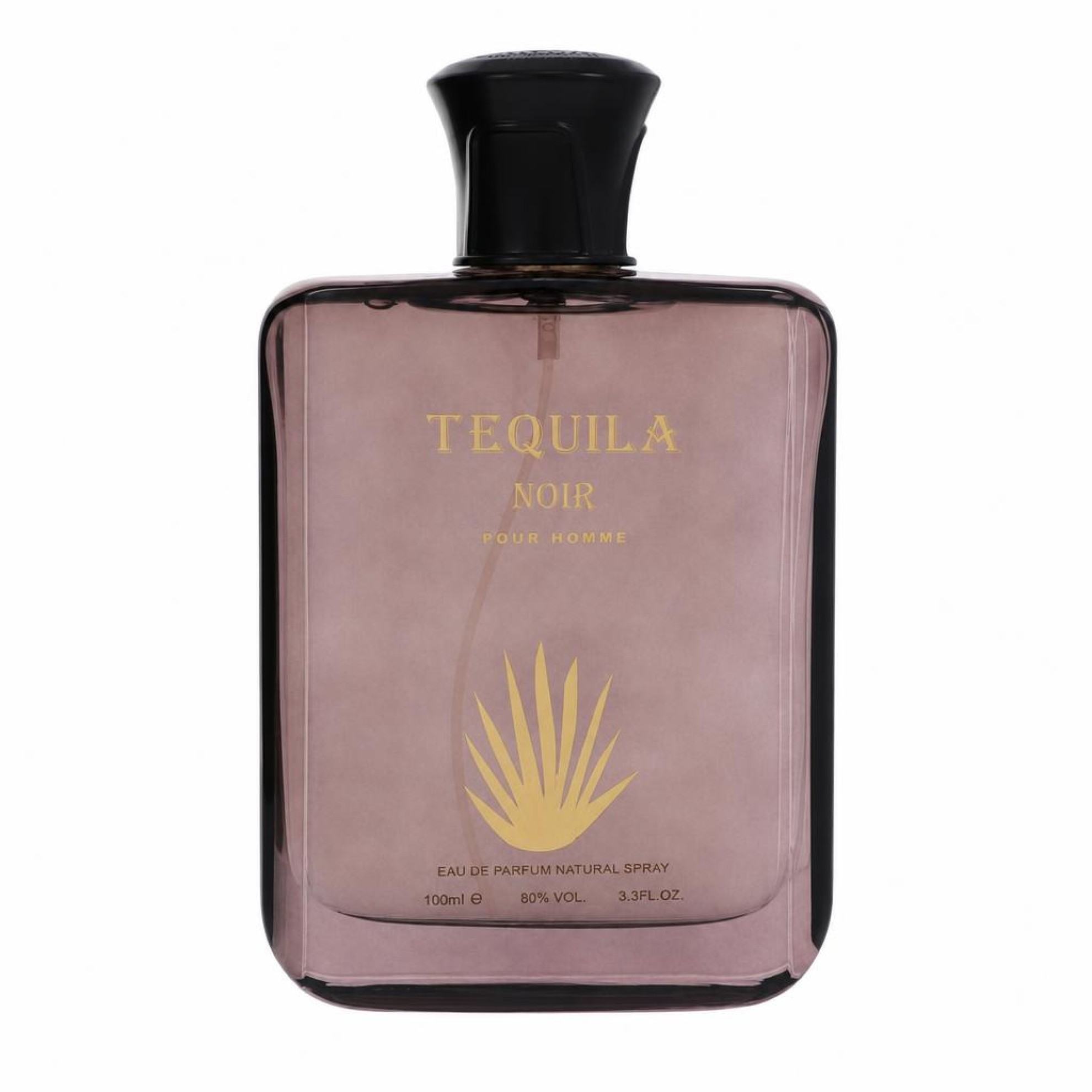 Tequila Perfumes Tequila Pour Homme Noir Eau De Parfum Spray 100 ml