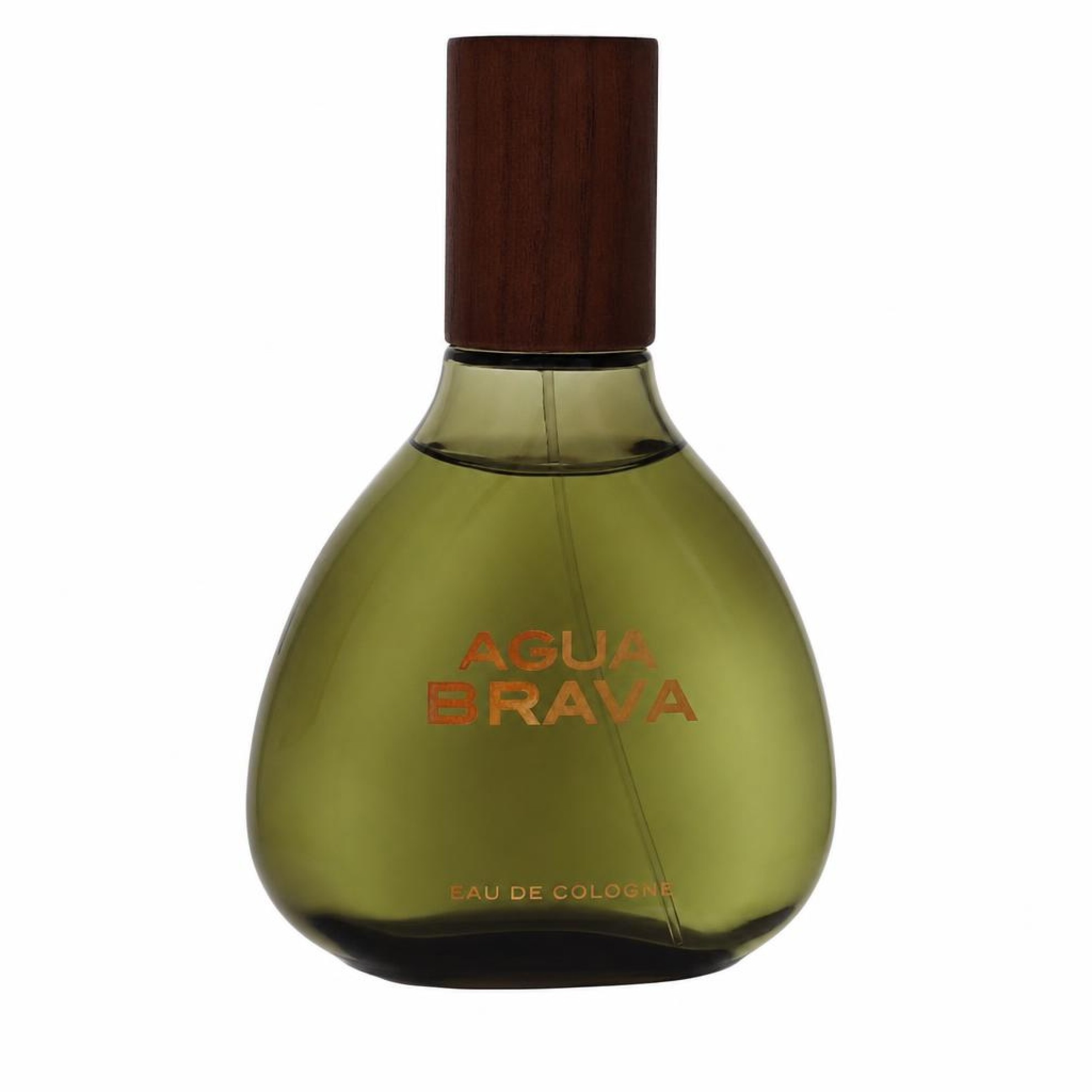 Antonio Puig AGUA BRAVA Eau De Cologne Spray (Unboxed) 100 ml