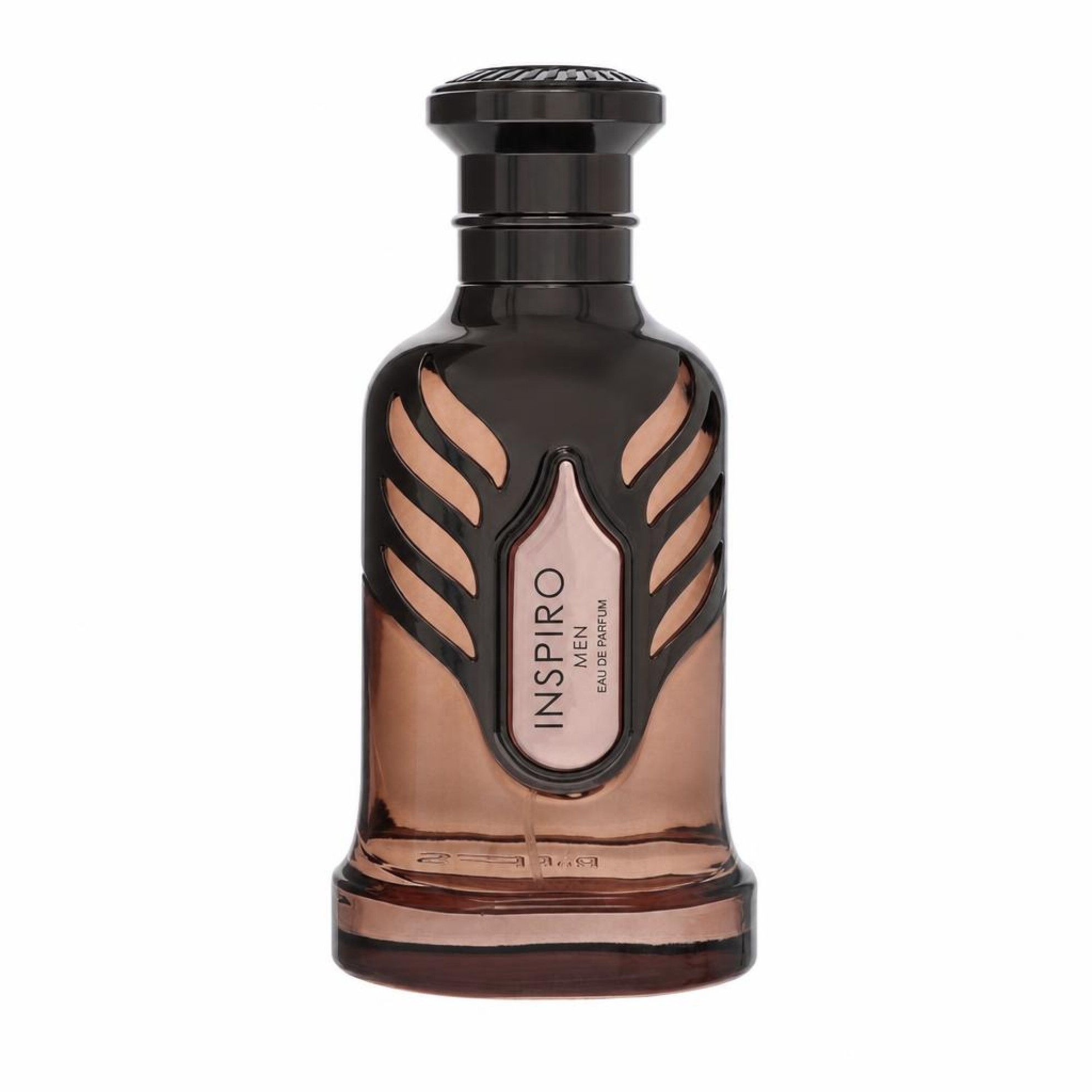 Riiffs Inspiro Men Eau De Parfum Spray 100 ml