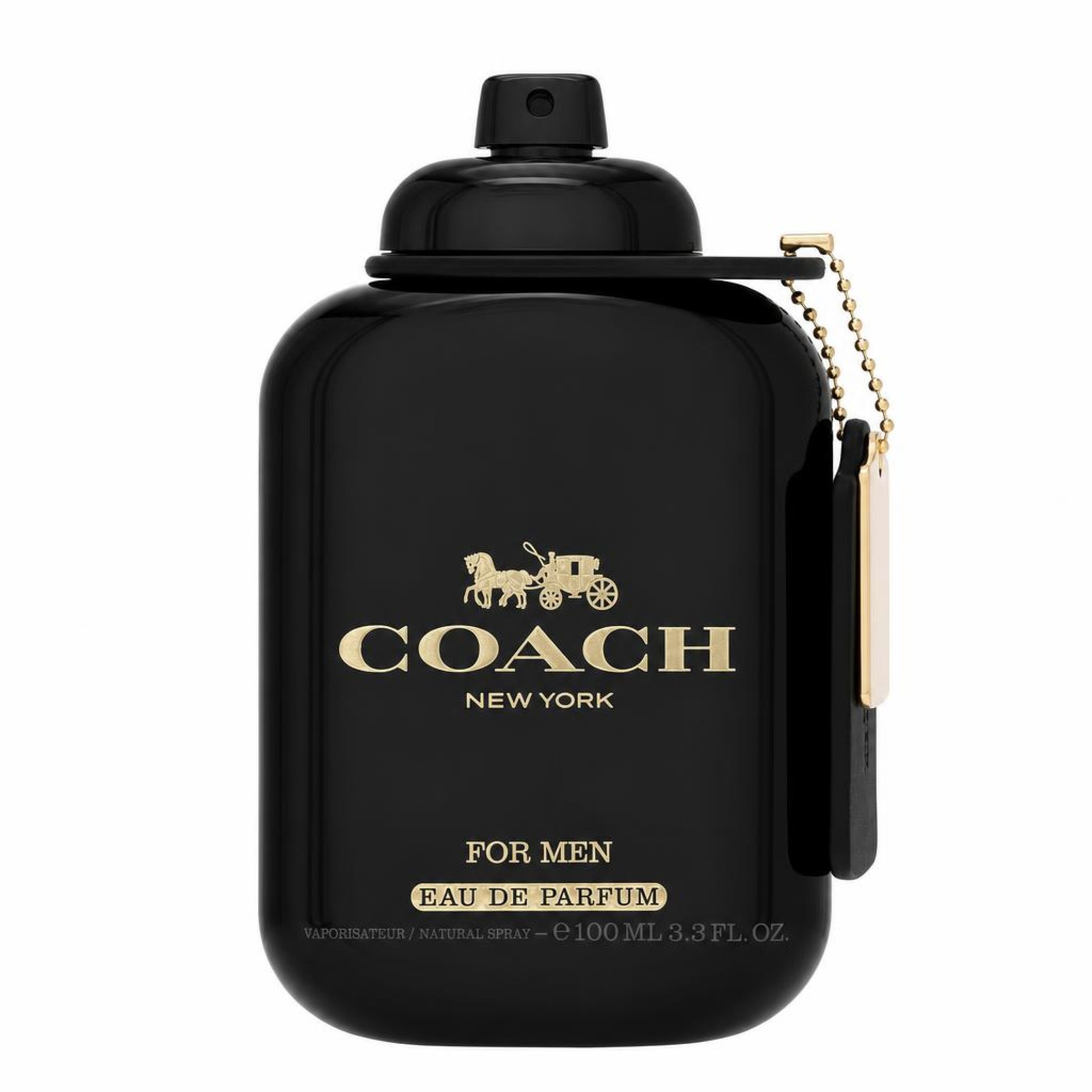COACH Coach For Men Eau de Parfum 100ml Homme