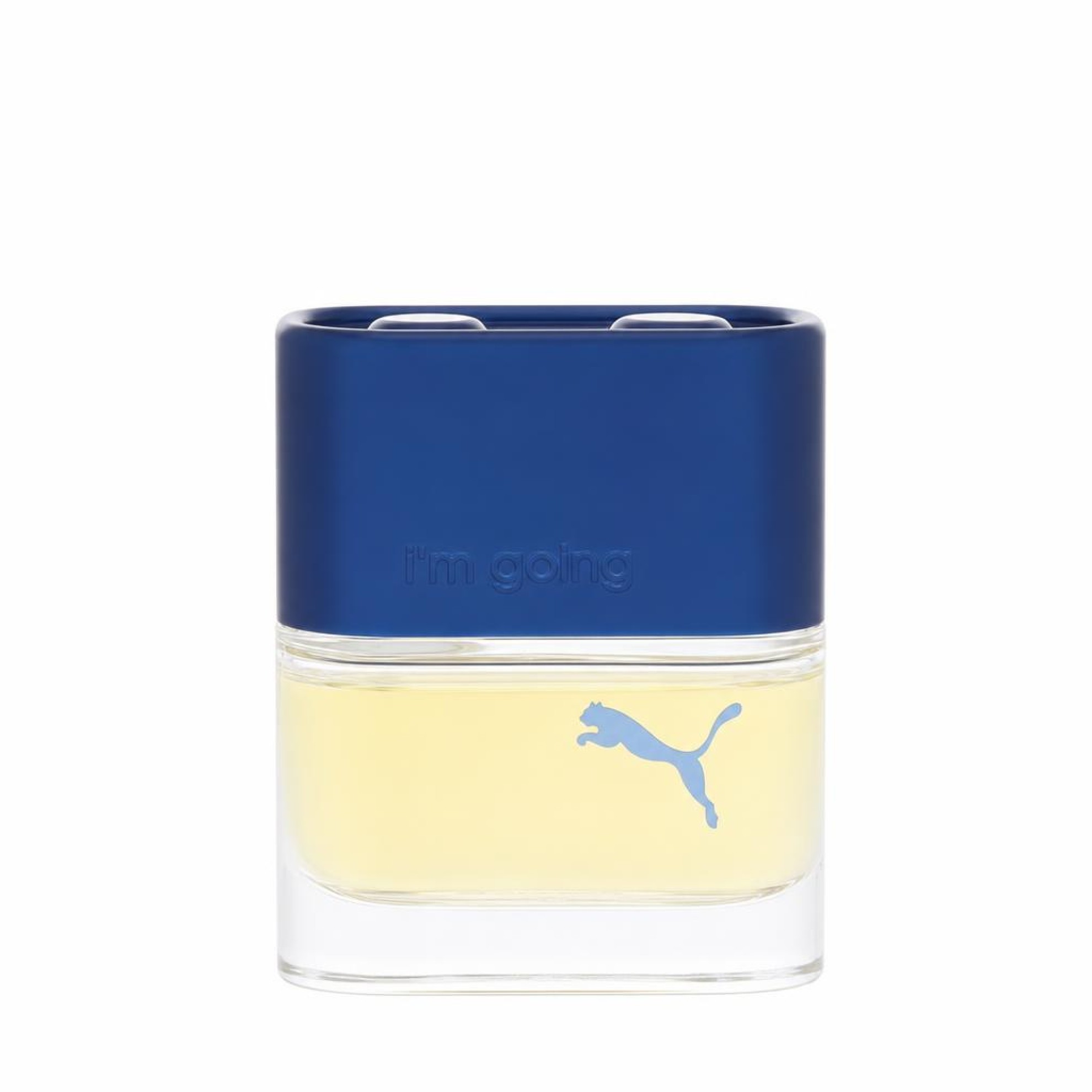 Puma I