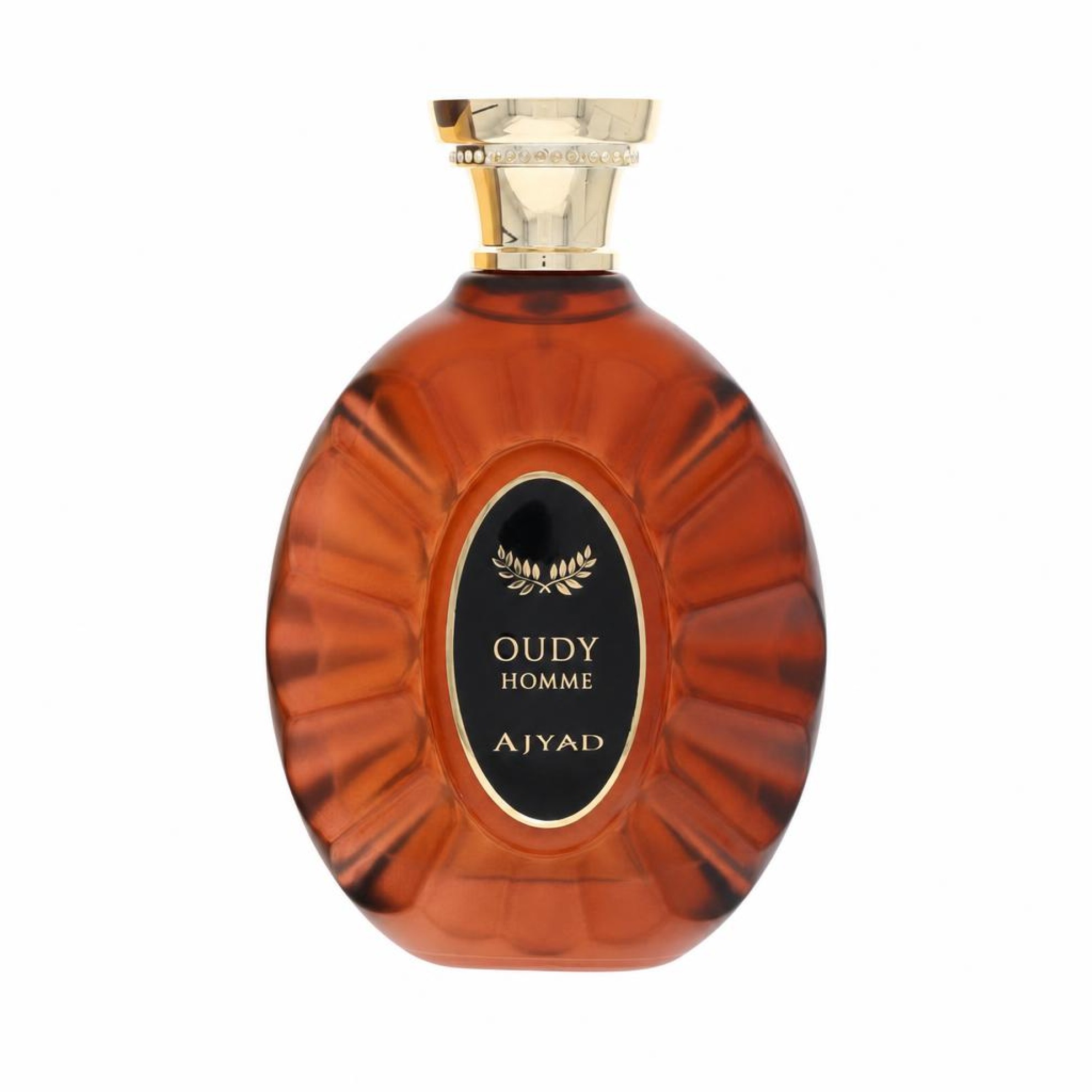 Ajyad Oudy Eau De Parfum Spray 100 ml