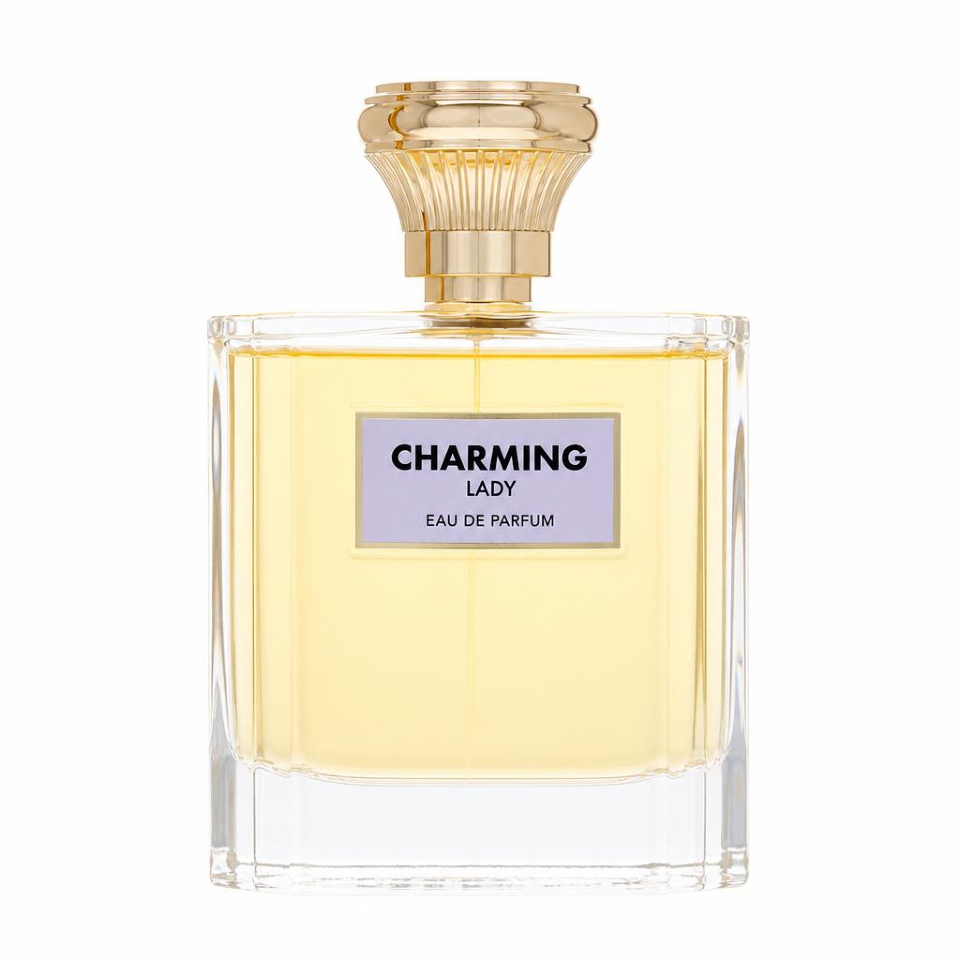 Flavia Charming Lady Eau De Parfum Spray 100 ml