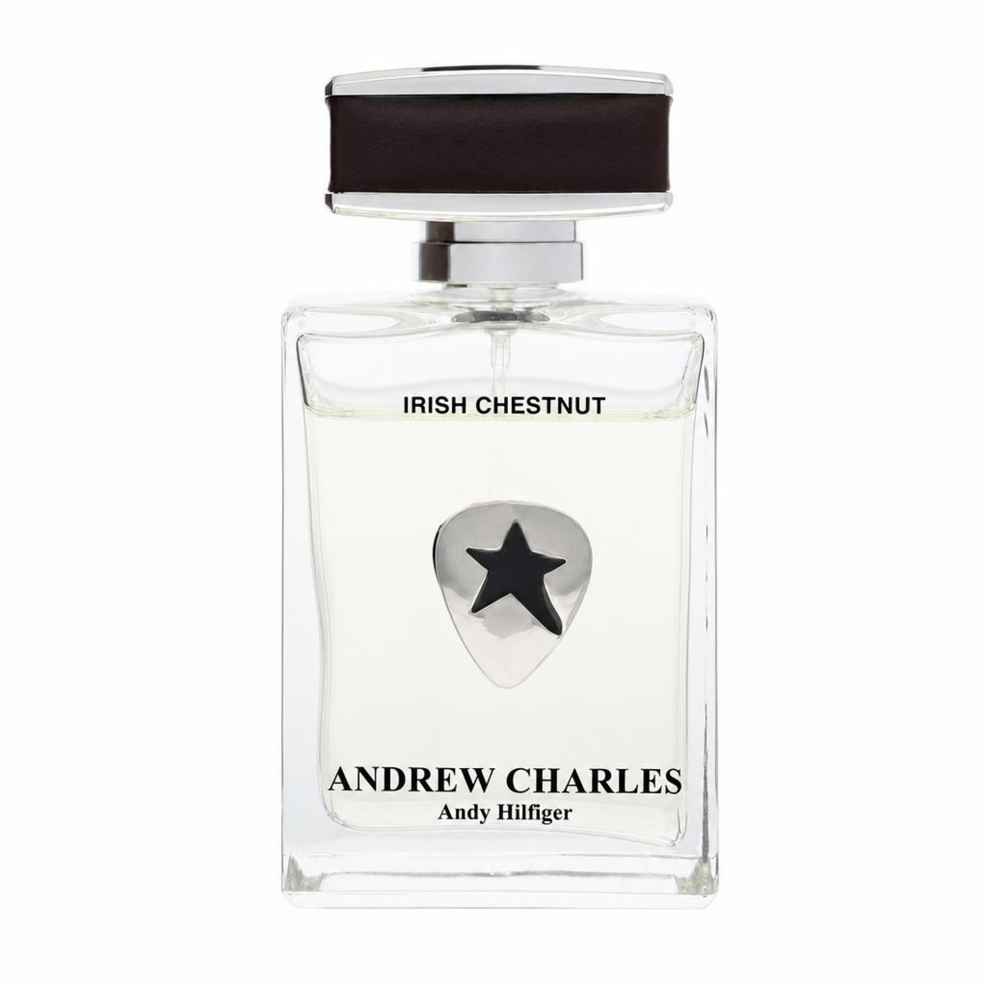 Andy Hilfiger Andrew Charles Irish Chestnut Eau De Toilette Spray 100 ml